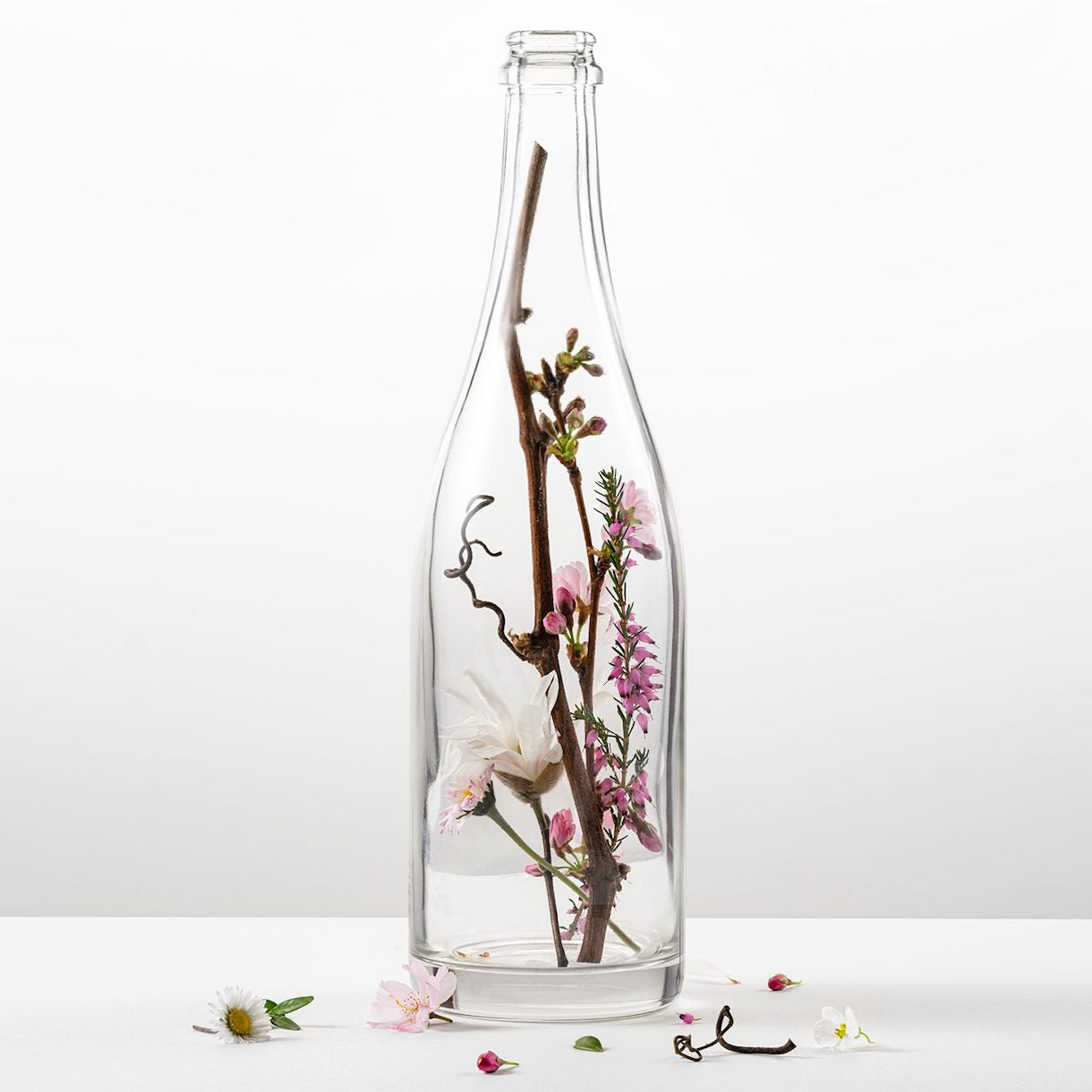 101 - Organic & Biodynamic Wine