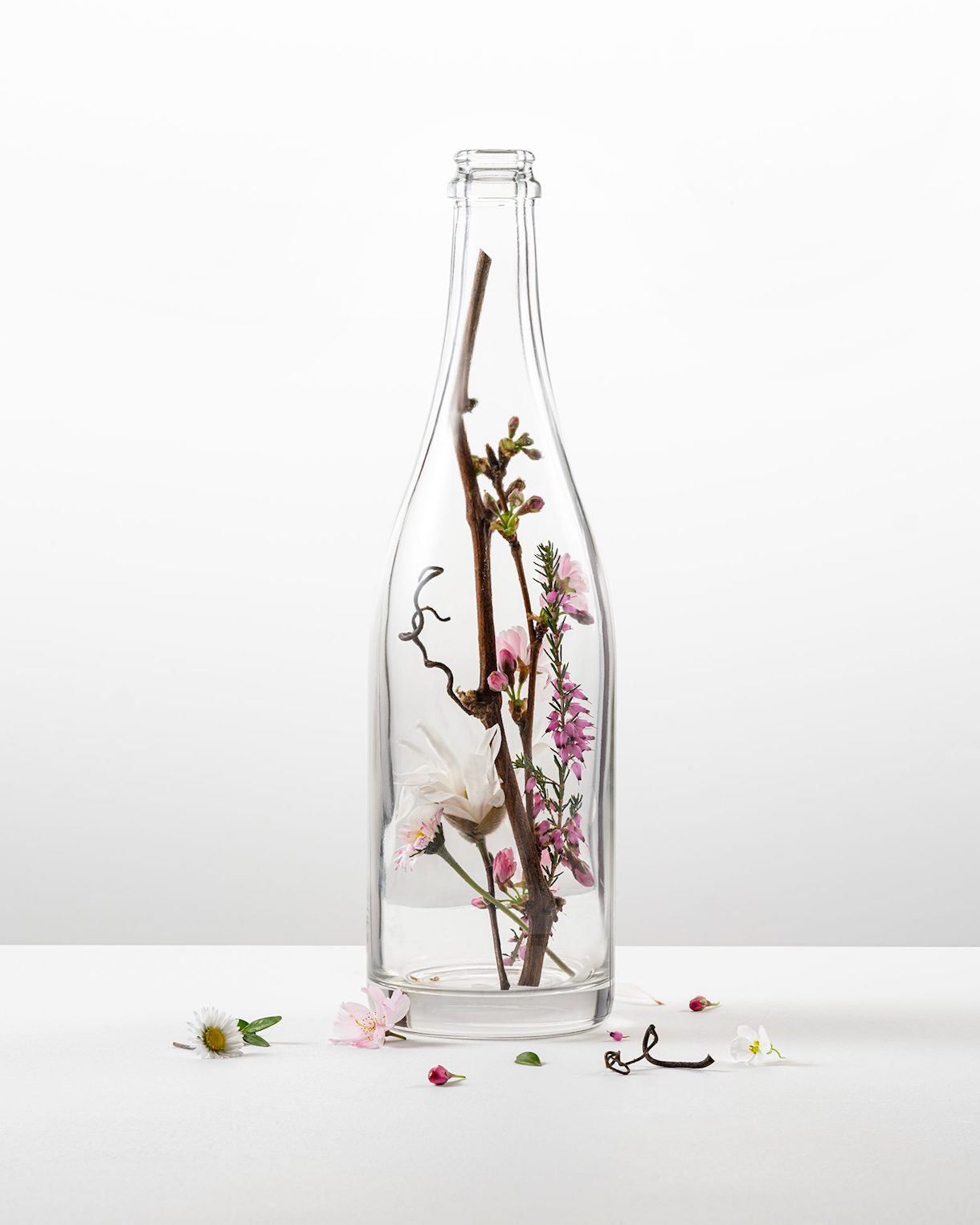101 - Organic & Biodynamic Wine